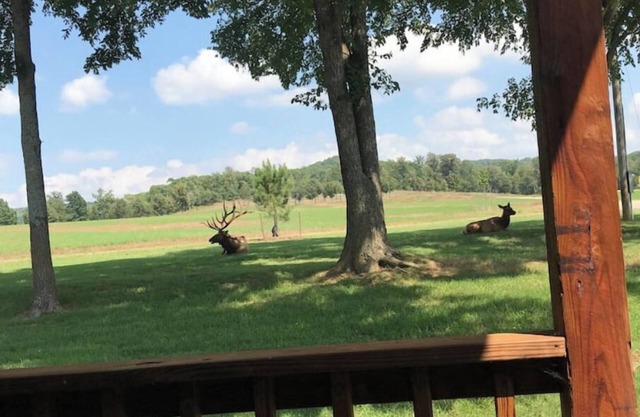Lake Cabin in Wildlife Preserve
