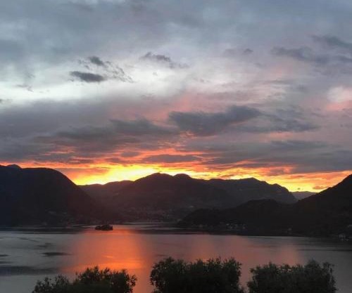 Lake Iseo - Gli ulivi 1