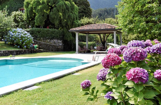 Lake Maggiore, beautiful villa with pool and large garden on Lake Maggiore