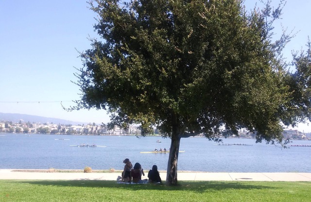 LAKE MERRITT STUDIO # 3 Great location & Value