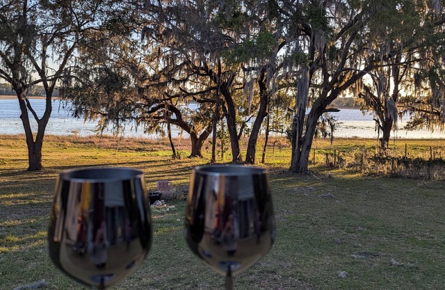 Lake Retreat, 2-bedroom, Dogs Welcome, 8 miles to Rainbow River, Sleeps 4