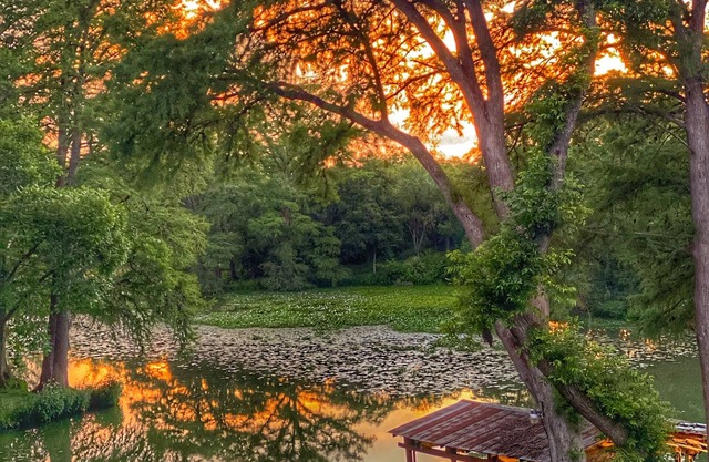 Lakefront/River front Lake Placid house