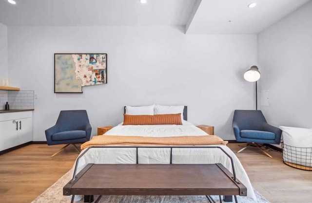 Large Ada, pet friendly loft in Kendall Yards