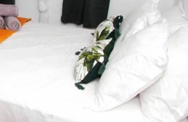 Large Comfortable Holiday Apartment