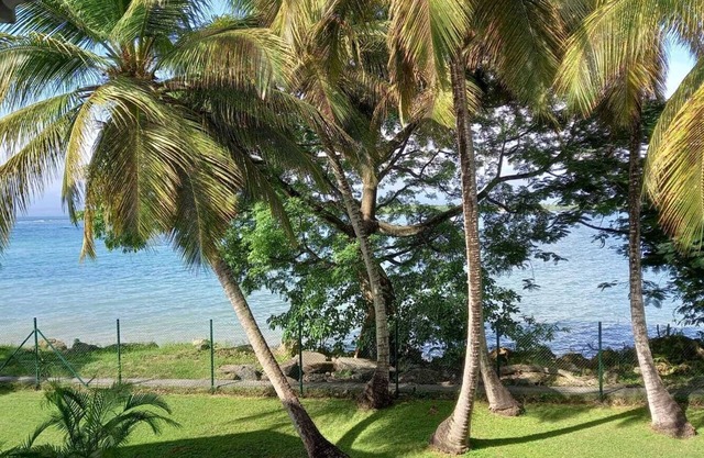 Large, cosy studio with sea view, pool and beach