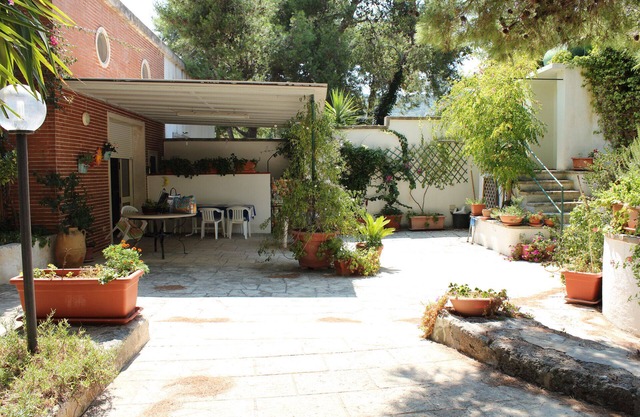 Large villa by the sea, with terrace, garden and pine wood. Seafront Villa.