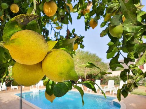 Las Esterlicias (Villa Rural Ecológica)