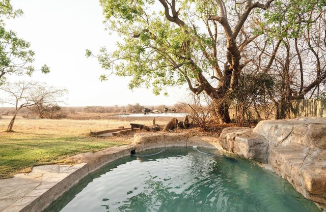 Last Word Madikwe