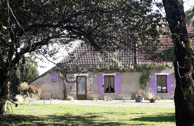 Lavender shutters