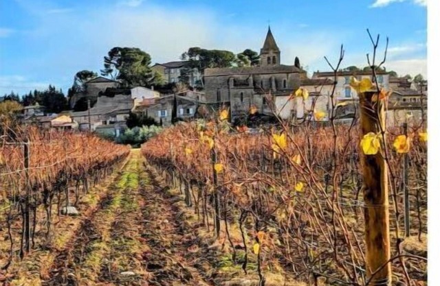 Le Beau Nid de Couffoulens 4