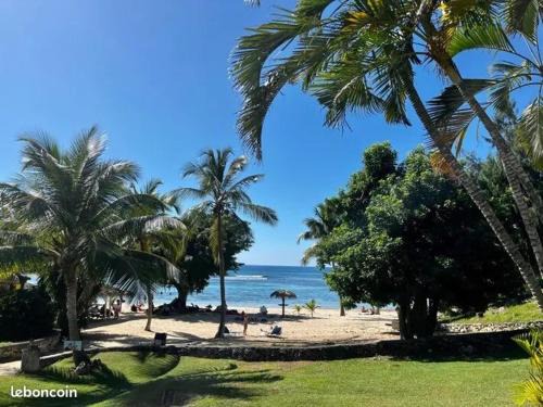 Le Chacha Anse des Rochers