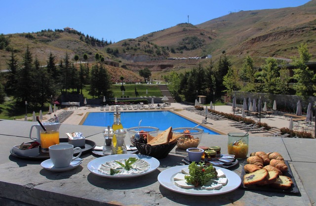 Le Grand Chalet Zaarour