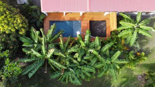 Le Jardin de La Tortue Verte