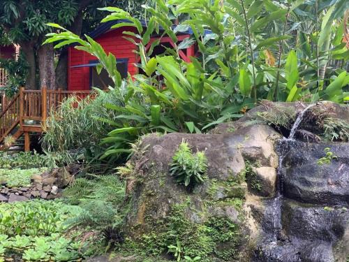 Le MORNE Aux F0US Cabanes & Jardin Tropical