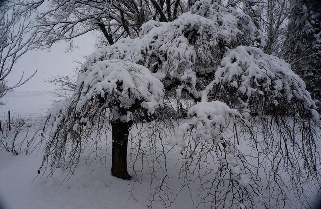 Le Paradis de Magellan-tranquilité à la Campagne