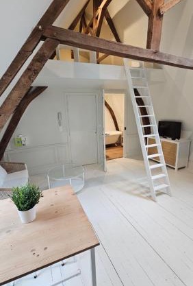 Le perchoir, studio avec mezzanine