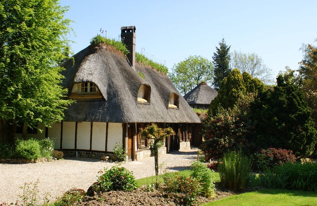 Le Petit Coq Aux Champs