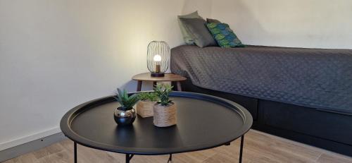 Le petit Jungle - hyper centre - wifi