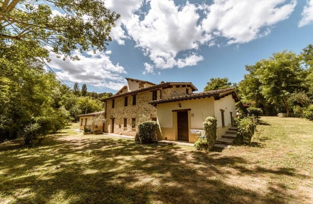 Le Radici - Olivo - Relax in Umbria, the heart of Italyn