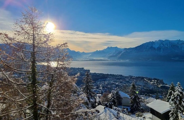 Le toit de Chardonne - Entre Alpes et lac Léman
