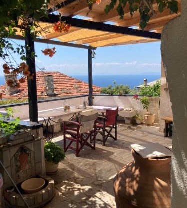 lemon garden with view