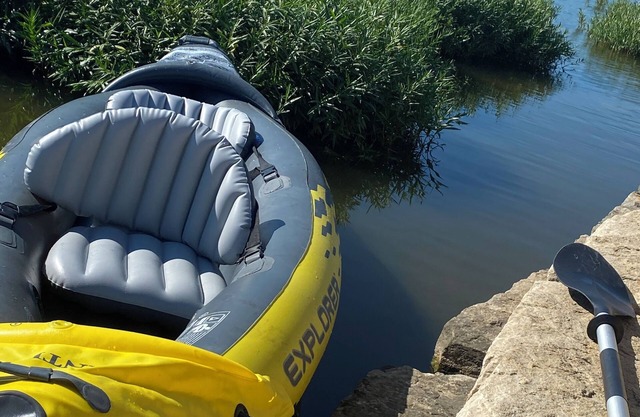 Lemon Tree Entire Home