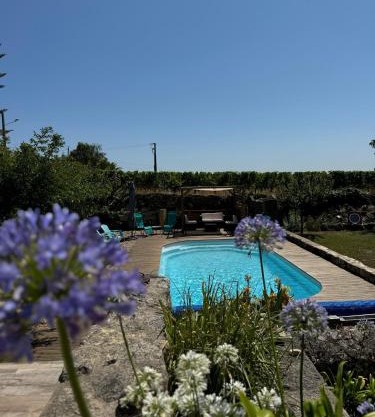 Les Agapanthes - Adult only