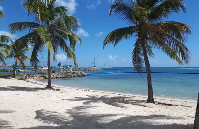 'LIKE A HOUSE' with the BEACH AT THE END OF THE GARDEN Classification 5 * Standing