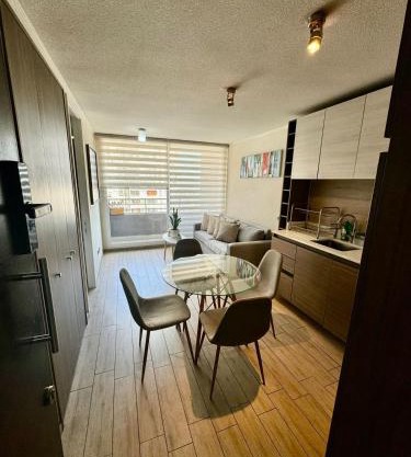 Lindo y cómodo apartamento en Santiago centro