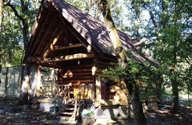 Little Log Cabin in the Woods!