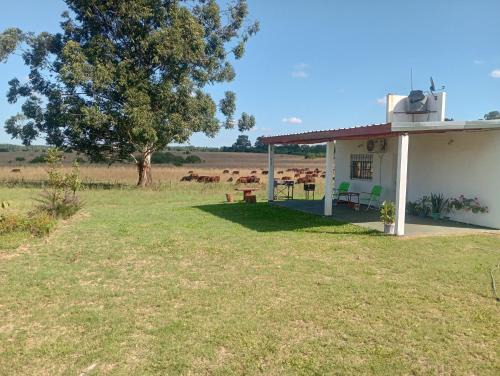 Lo Pituco casa de campo