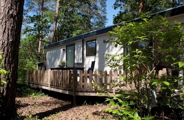 Lodge Merel Nunspeet Veluwe