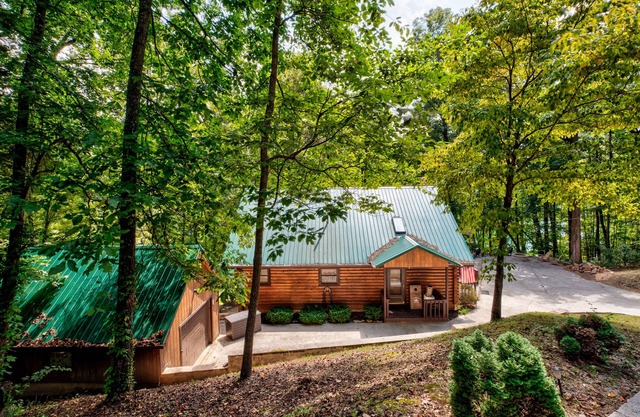 Log home in peaceful cove. Great for multiple families. Starlink internet