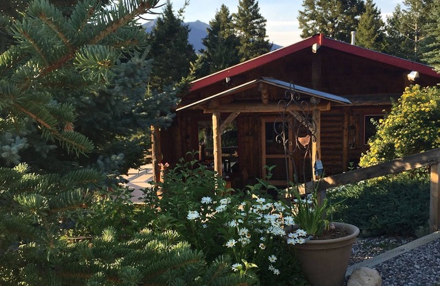 Long term Available up to 6 months starting on November 1st 2025 to May 1st 2026