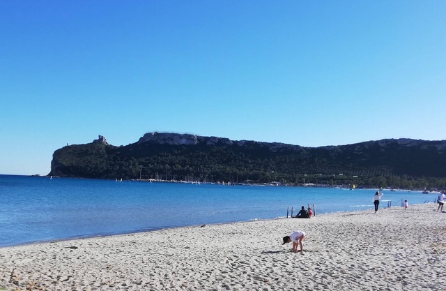 Lorenzo apartment with panoramic terrace
