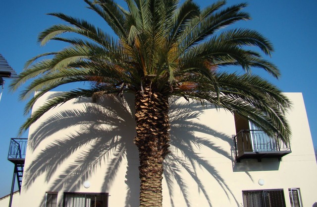 Louhallas Bed & Breakfast