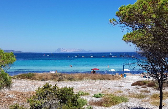 Lovely apartment for 6 guests with A/C, WIFI, TV, patio and pets allowed