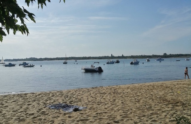 Lovely renovated studio on the port of Arcachon