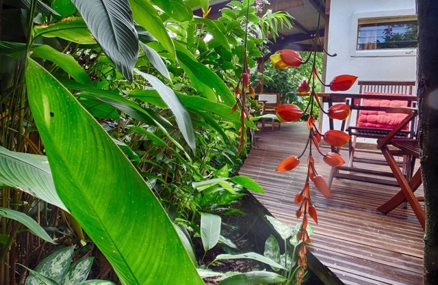 Lover's nest in the heart of a rich tropical garden