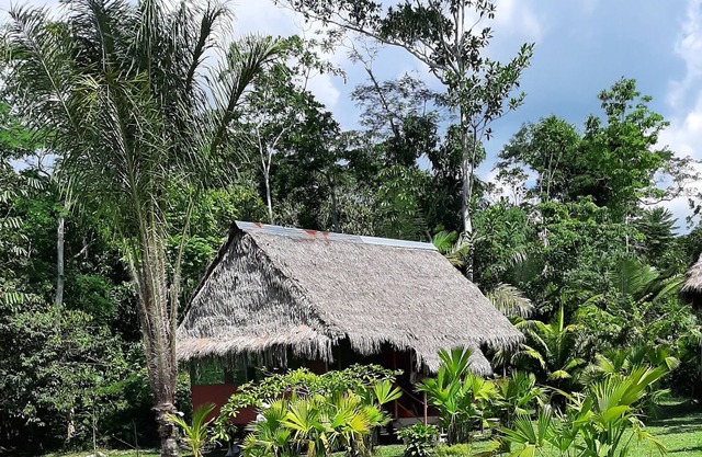 lupuna jungle tours and expeditions