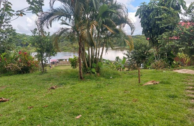 lupuna jungle tours and expeditions