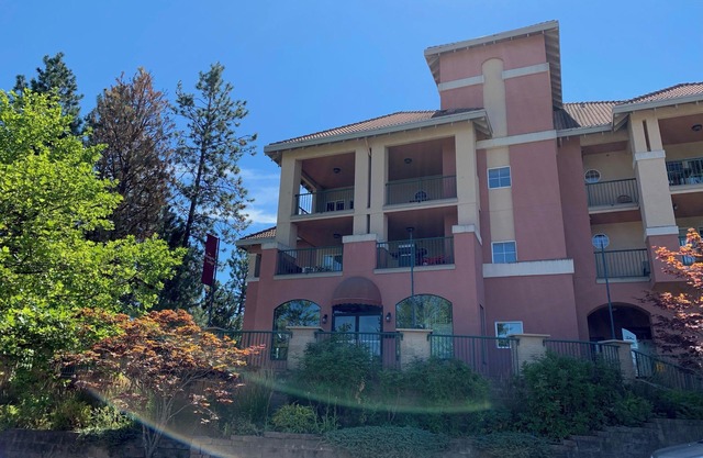 Luxe Studio With Full Kitchen - 102A