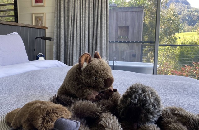 Luxurious Boutique Cabins (2 King Bedrooms) and Amazing Views in Kangaroo Valley
