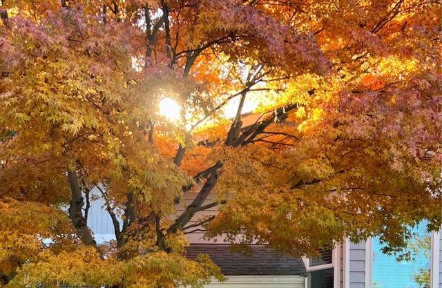 Luxurious Dual-unit home in Wedgewood Oasis