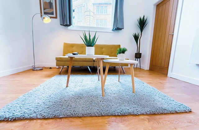 Luxury 1 bed apartment, sleeps 4, free parking.