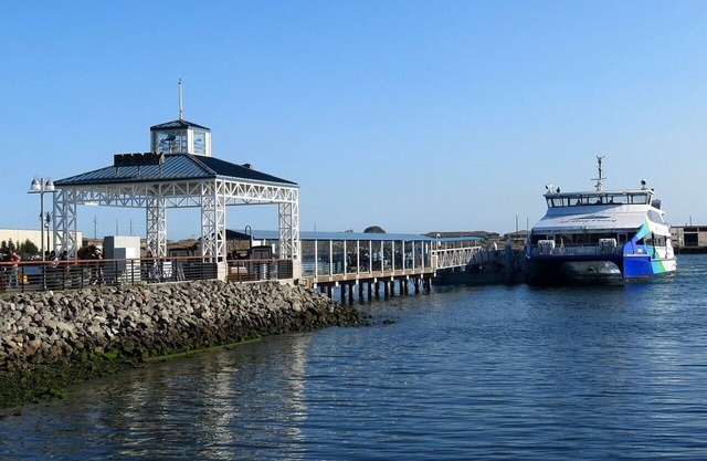 Luxury 1BR with Water Views, Pool and Garage