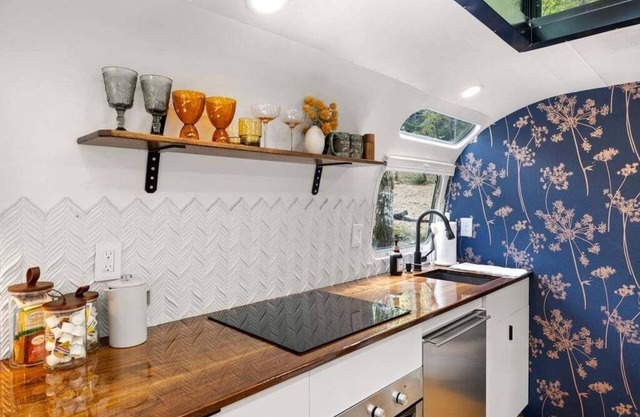 Luxury Airstream w/hot tub, king bed, & grill