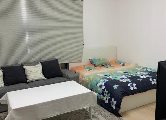 Luxury apartment in Old Airport