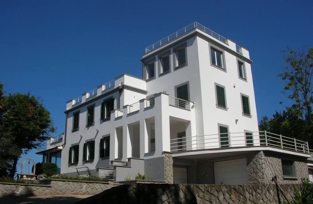 Luxury Apartment