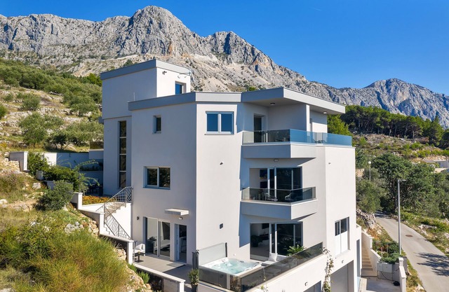 Luxury Apartment Podgora